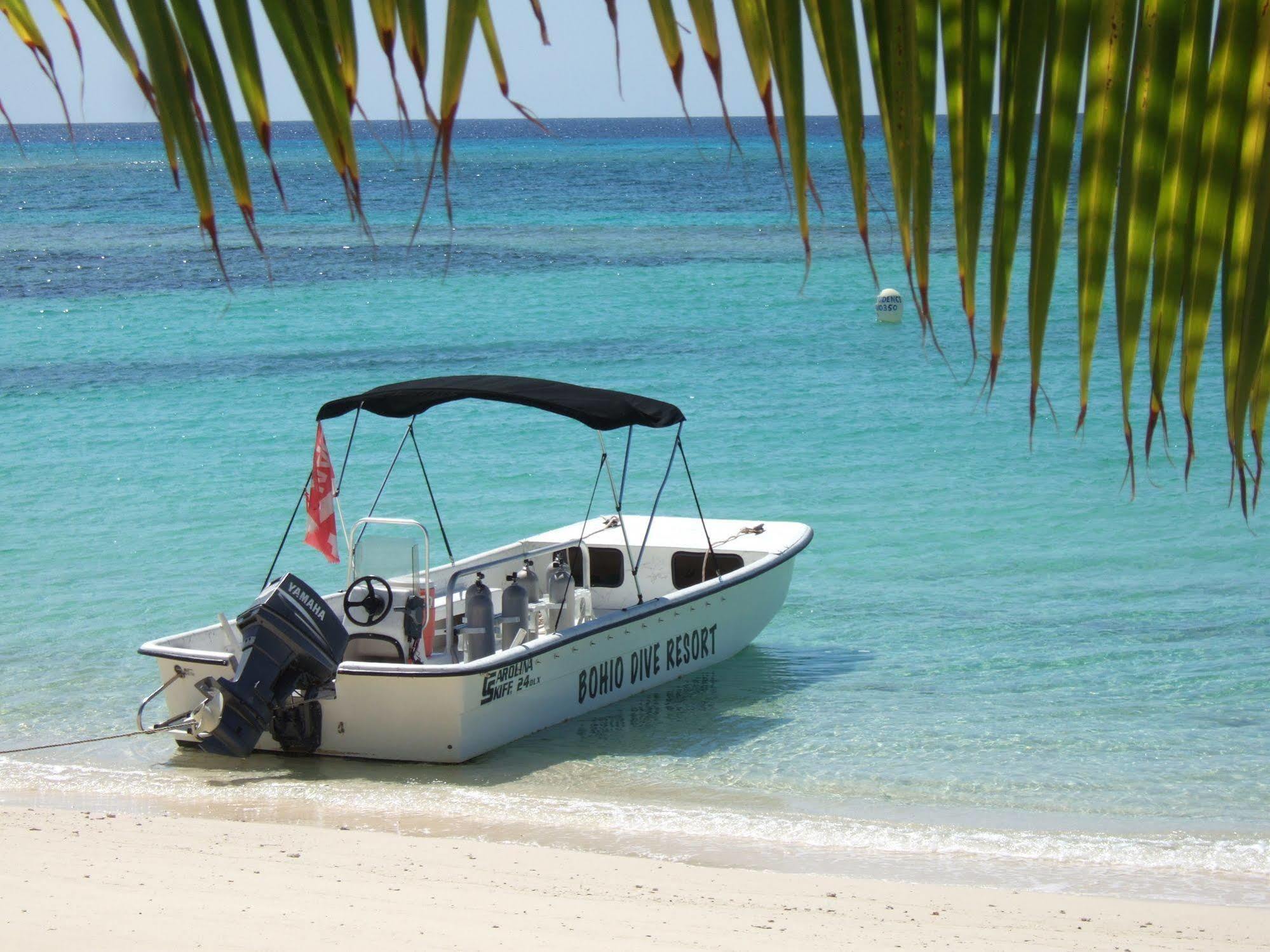 Bohio Dive Resort Cockburn Town Exterior foto